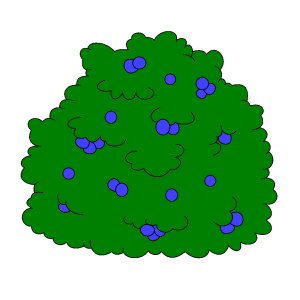 300x300 Shrub Clipart Berry Bush
