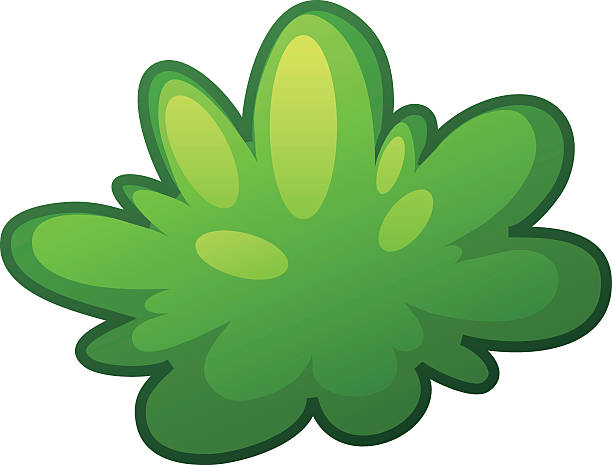 612x465 Shrub Clipart Vector