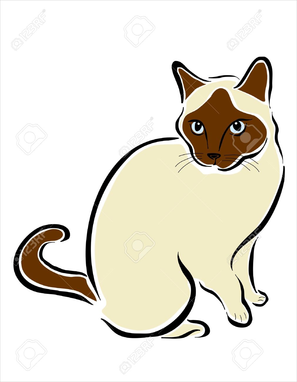 1011x1300 Picture Of A Siamese Cat Royalty Free Cliparts, Vectors, And Stock