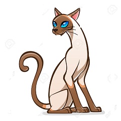 241x241 Siamese Cat Clipart Public Domain