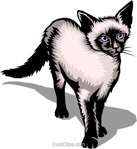 441x480 Siamese Cat Royalty Free Vector Clip Art Illustration Anim0124