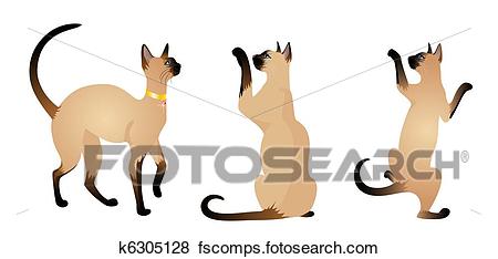 450x234 Stock Illustration Of Beautiful Siamese Cats K6305128