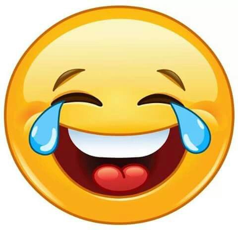 480x464 569 Best Smileys Images Smiley, Bud And Hilarious