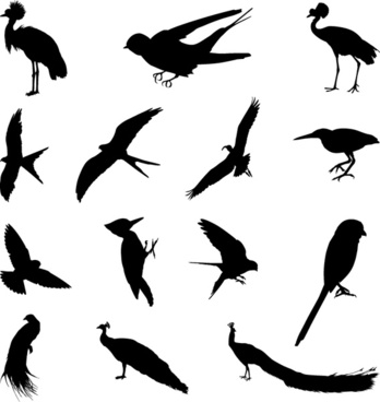 348x368 Bird Silhouette Clip Art Free Vector Download (214,015 Free Vector