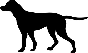 300x181 Free Pointer Dog Clip Art Image