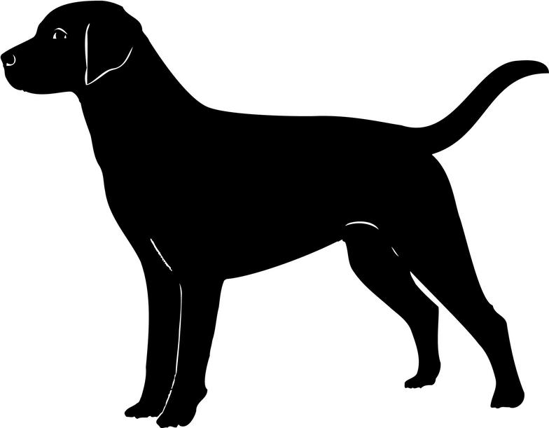 784x611 Labrador Cliparts Silhouettes Labradors, Clip Art