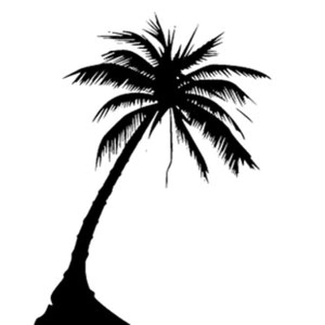 Silhouetted Palm Trees