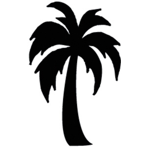 300x300 Palm Tree Silhouette