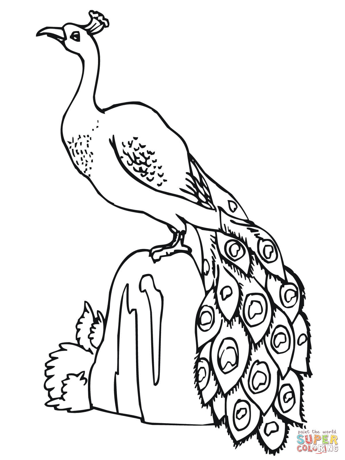 1200x1600 Peacocks Coloring Pages Free Coloring Pages