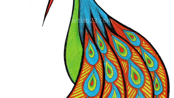 570x320 A Drawing Of A Peacock A Swirly Peacock Coloring, Search