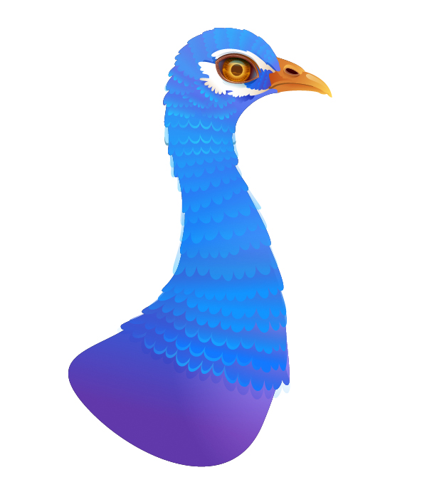 600x705 Create A Vibrant Peacock In Adobe Illustrator