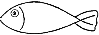 340x123 How To Draw Fish In Easy To Follow Steps Drawing Lesson