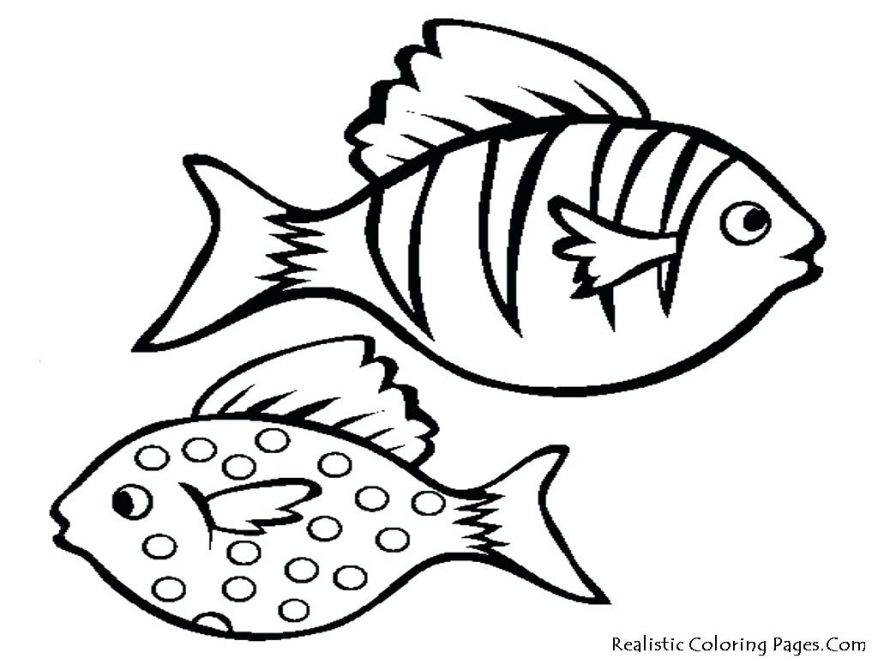 878x659 Simple Drawing Of Fish All New How To Draw Food A 25 Fascinating