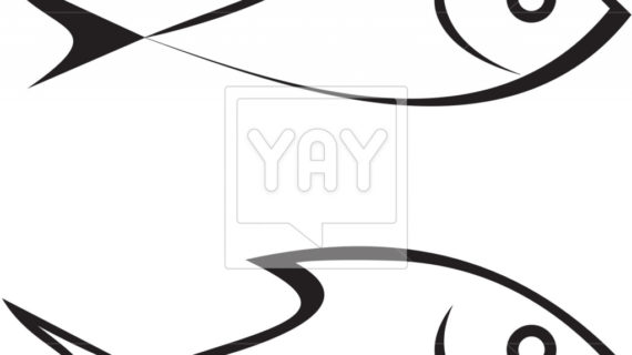 570x320 Simple Drawing Of A Fish Fish Drawing Outline