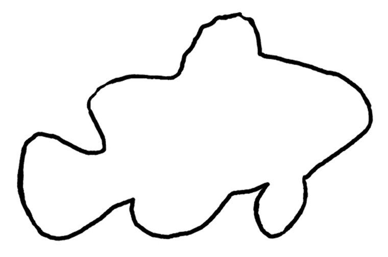760x504 Simple Fish Outline Clip Art Free Clipart Images 3