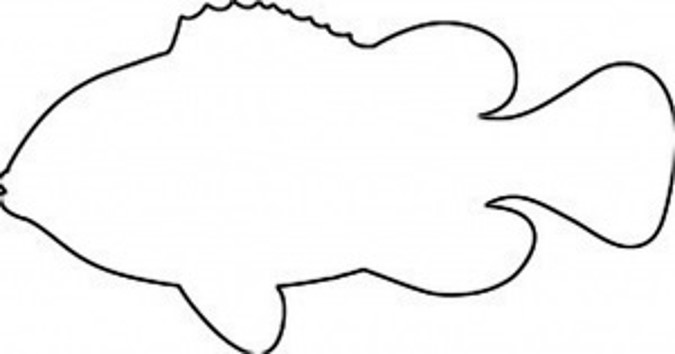 675x354 Tropical Fish Outline Clipart