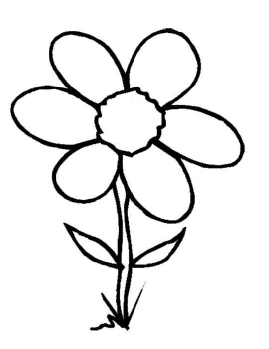 540x702 White Flower Clipart Flower Coloring