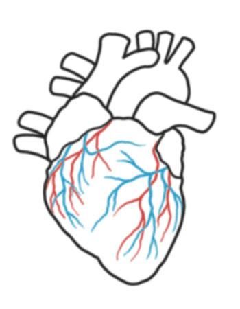 350x450 33 Best Actual Heart Outline Tattoo Design Images