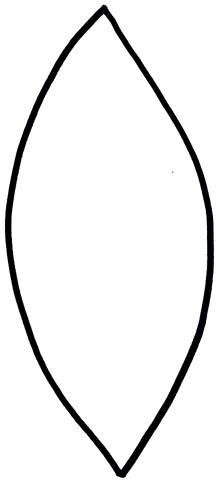 216x484 Clipart Of A Simple Leaf Outline, Free Clipart Of A Simple Leaf