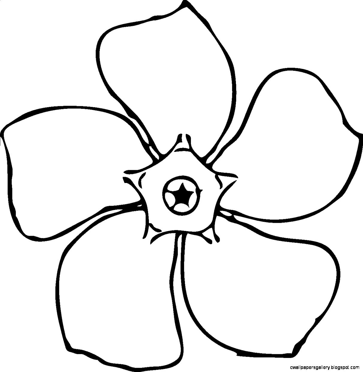 1211x1242 Simple Rose Drawings In Black And White Wallpapers Gallery