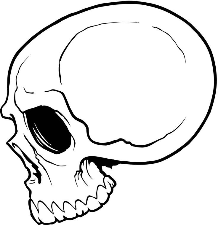 736x762 Best Simple Skull Drawing Ideas Skull Drawings