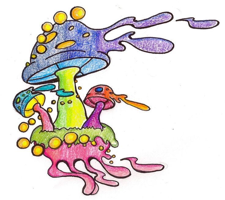 736x653 Best Mushroom Tattoos Ideas Alice In Wonderland