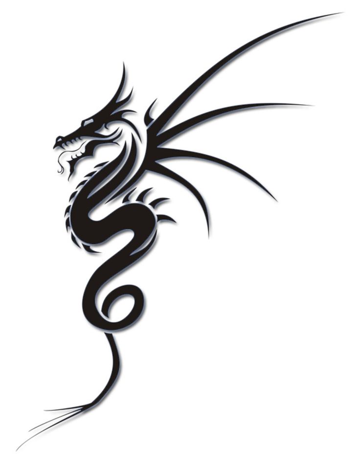 736x961 Best Tribal Dragon Tattoos Ideas Dragon Tattoo