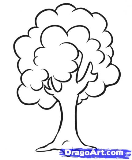 431x520 How To Draw A Simple Tree Art Drawings, Teaching