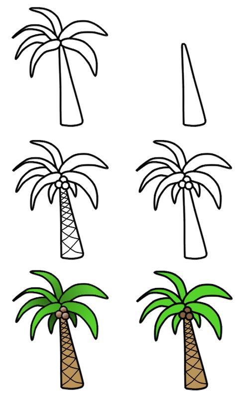 500x797 Palm Tree Drawing Simple Pictures Reference