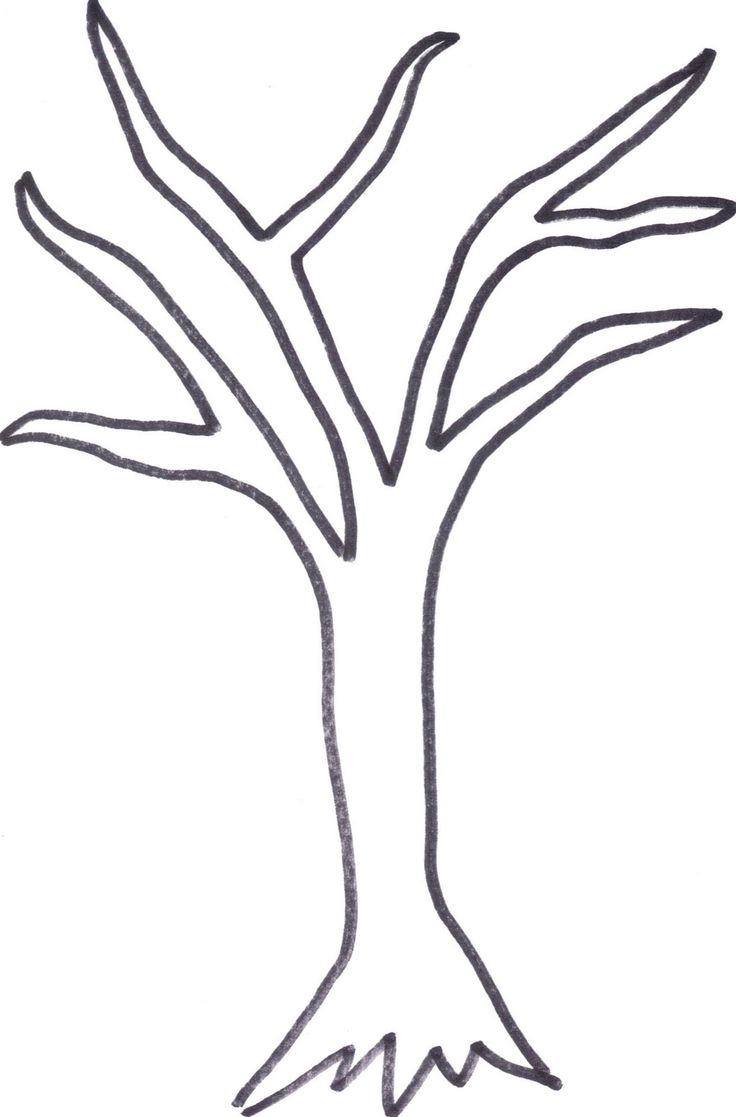736x1117 Simple Tree Drawings