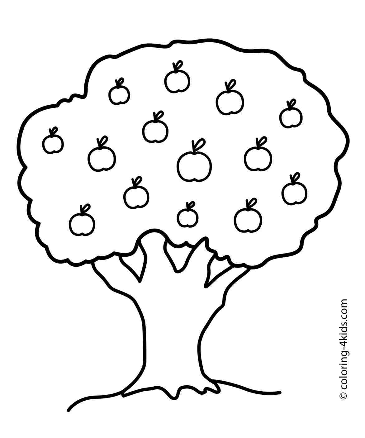 1172x1406 Simple Apple Tree Drawings