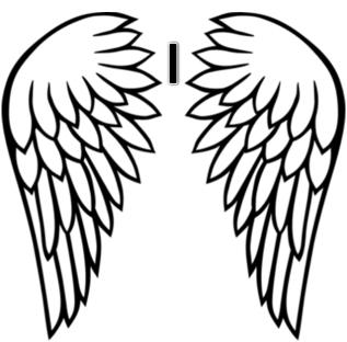 317x312 Ideal Angel Wing Clipart