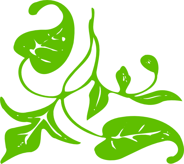 600x536 Moldura Folhas Single Leaf Clip Art