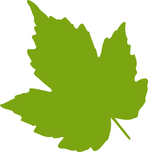 582x596 Single Leaf Clipart