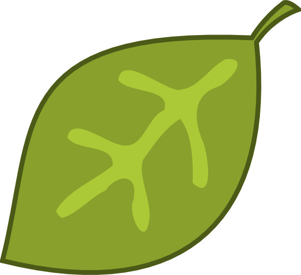600x549 Single Leaf Clipart