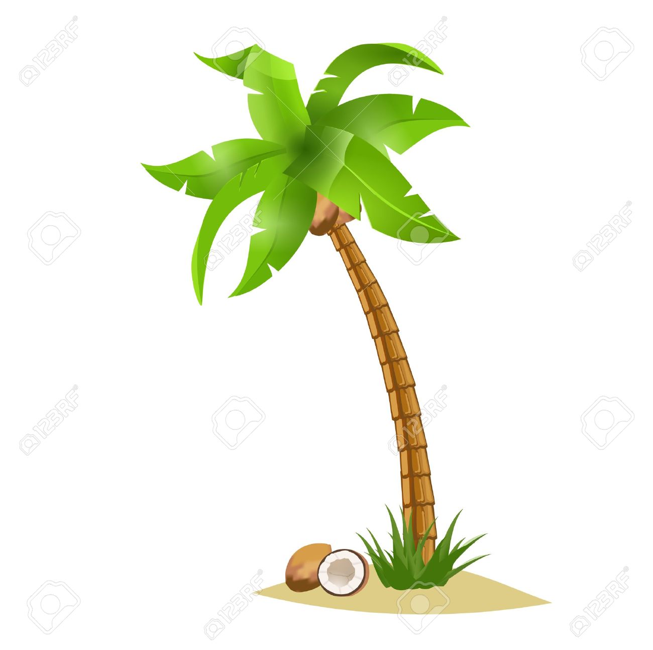 1300x1293 Coconut Clipart Single Green