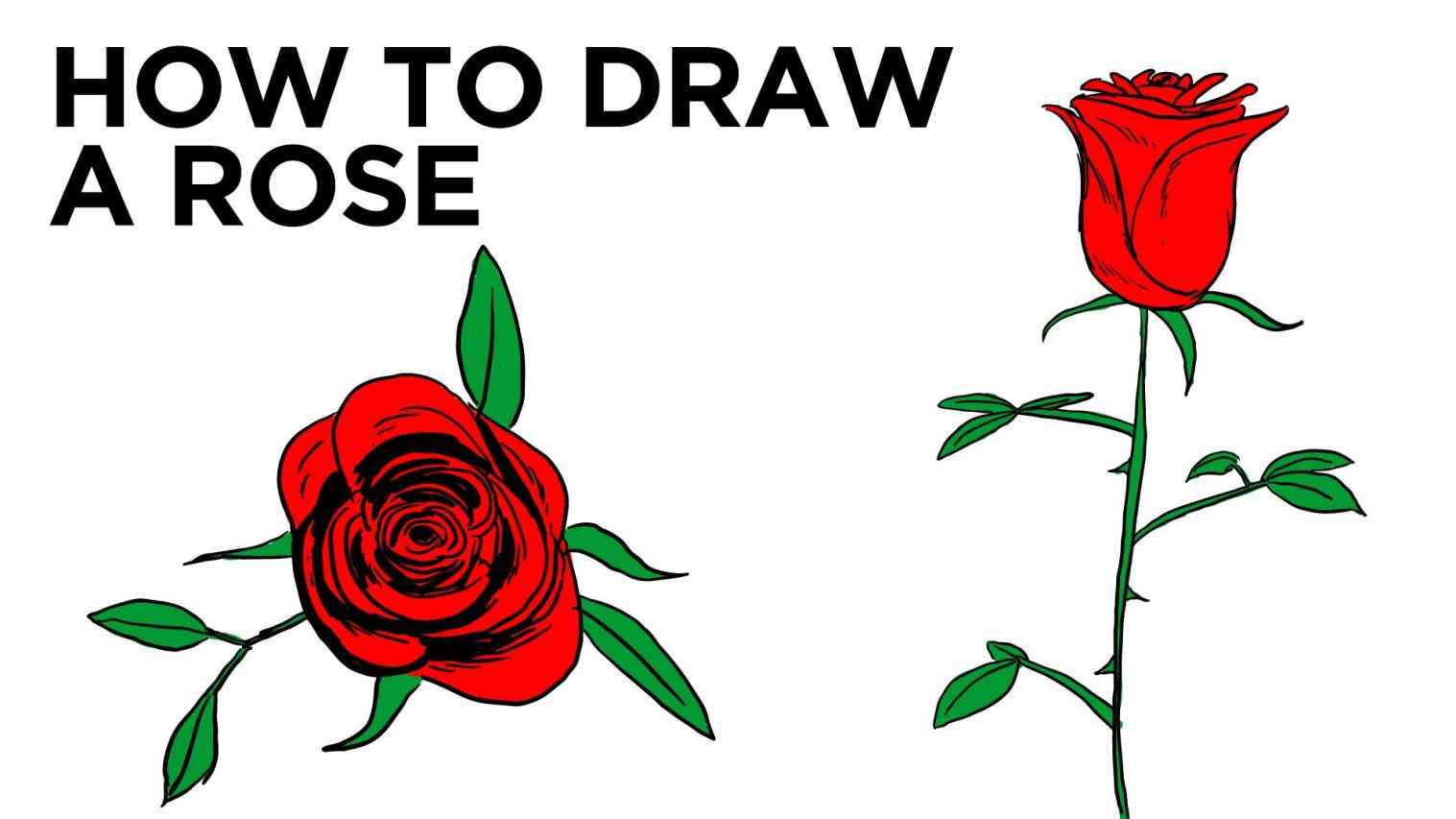 1517x853 Red Rose With Stem Drawing Simple Rose Drawing Images Single Red