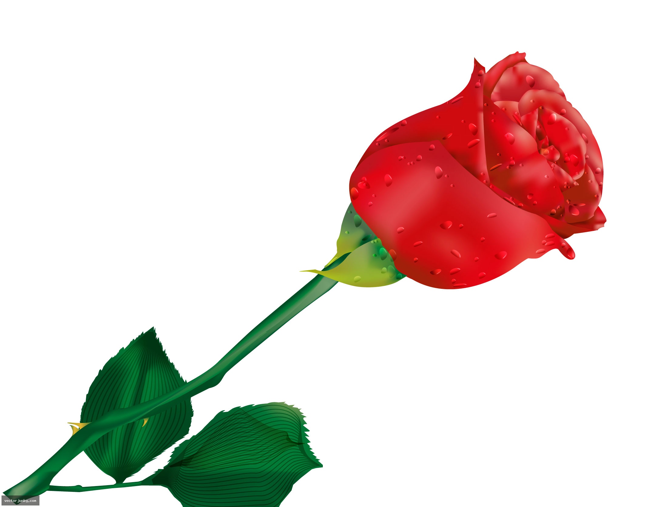 2139x1671 Long Clipart Red Rose