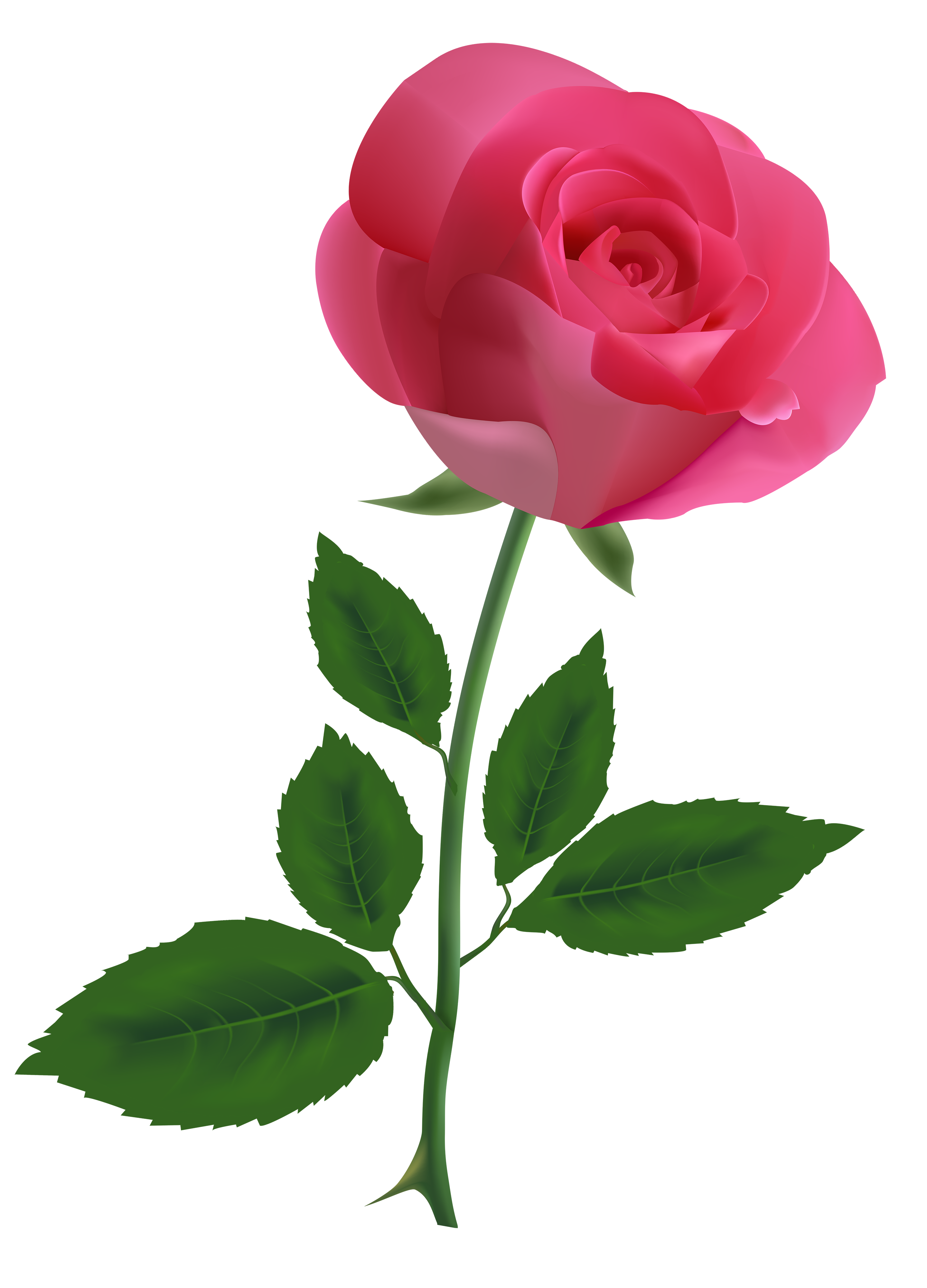 Single Rose Clipart Free Download On Clipartmag
