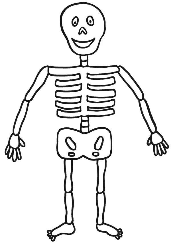 600x851 Skeleton For Kids Group