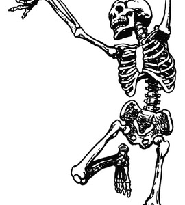 270x300 Skeleton Clipart Skeletal