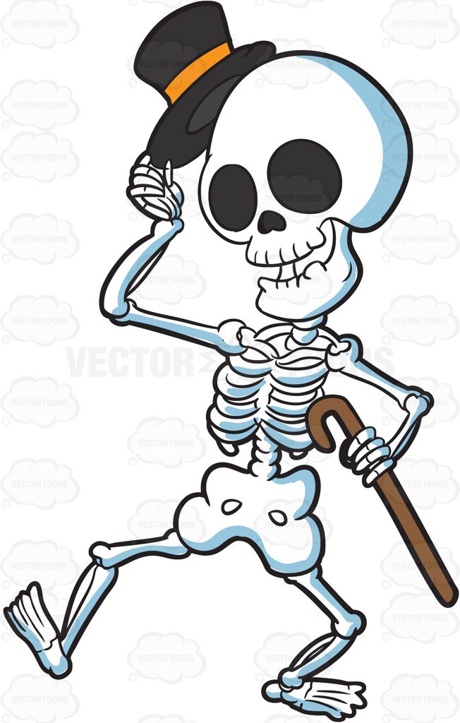 652x1024 Skeletal System Clipart