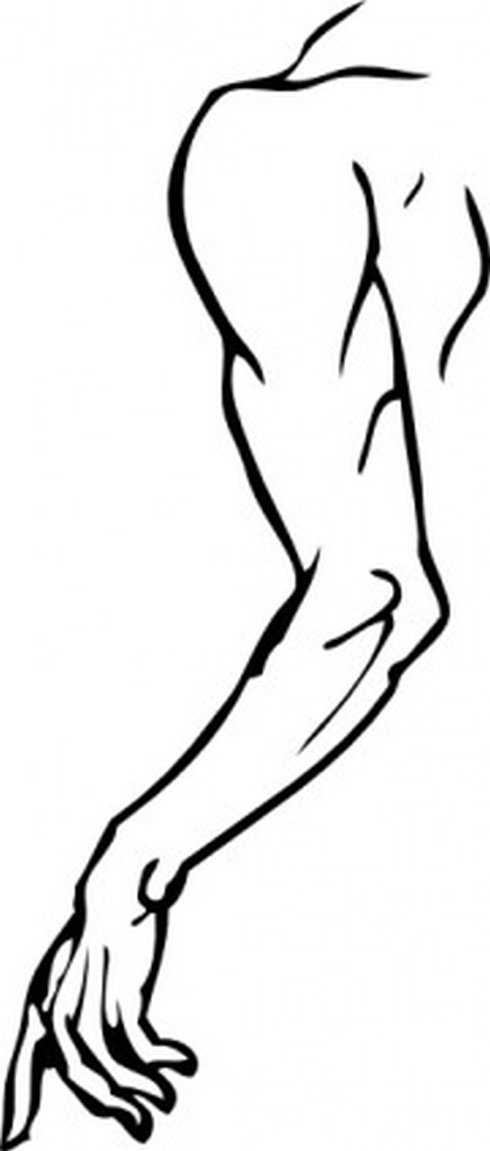 490x1151 Human Arms Cliparts Many Interesting Cliparts