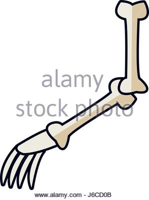 300x402 Cartoon Arm Bone Part Skeleton Comic Stock Vector Art