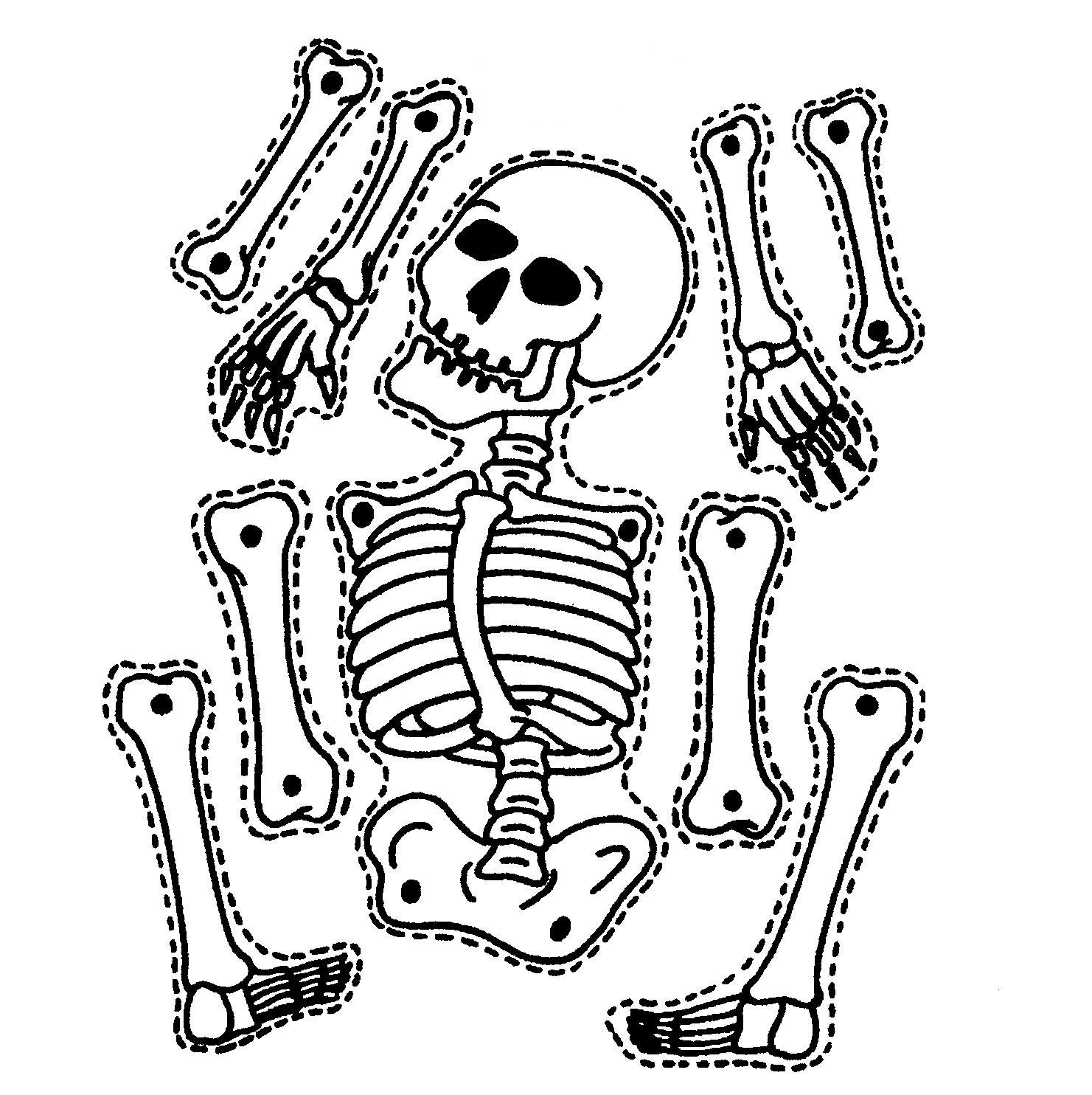 1481x1484 Skeleton Clip Art Free Clipart Images 2 Image