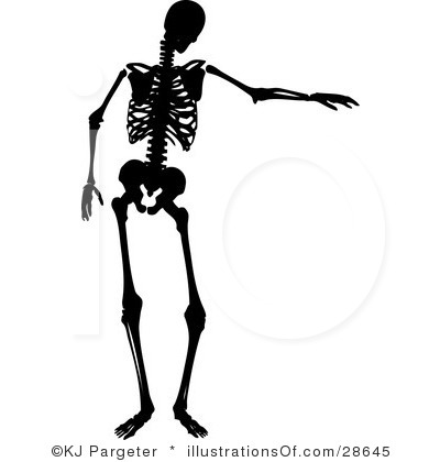 400x420 Skeleton Clipart Art