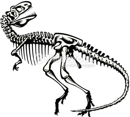 437x391 Dinosaur Skeleton Clipart