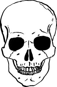 195x299 Sleleton Clipart Skeleton Face