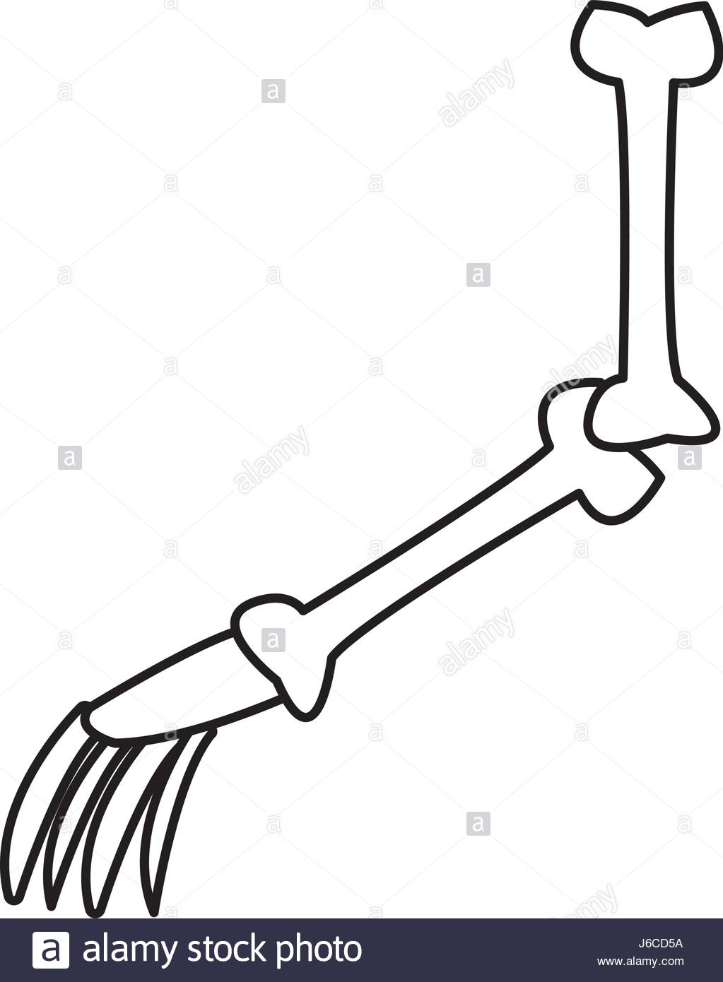 1023x1390 Cartoon Arm Bone Part Skeleton Comic Stock Vector Art