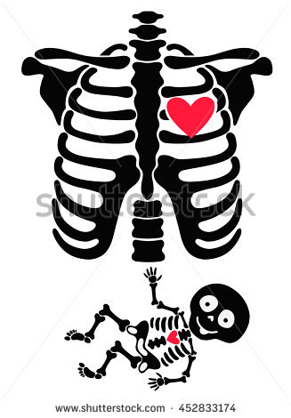 327x470 Chest Clipart Skeleton